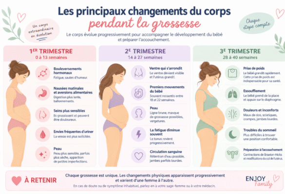 Infographie des principaux changements du corps pendant les trois trimestres de grossesse