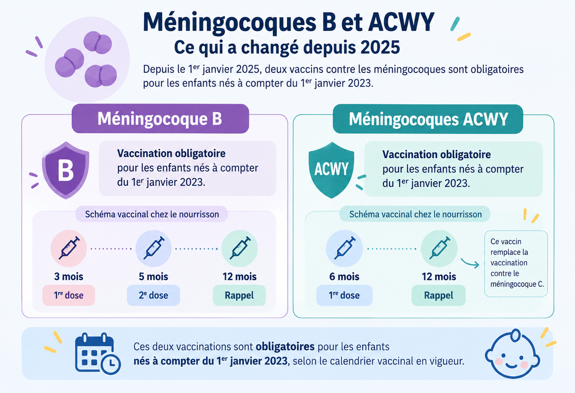 Vaccination de bébé contre le méningocoque B et les méningocoques ACWY