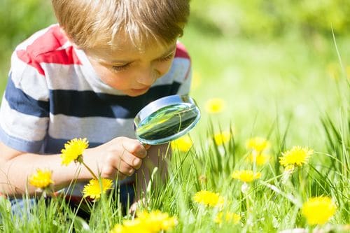 Sortir explorer la nature avec votre enfant : Quels avantages ?