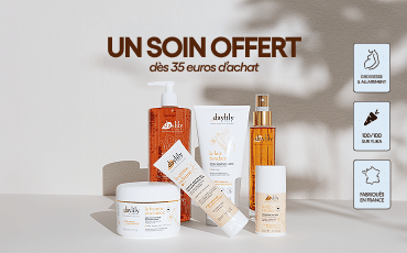 Offre spéciale salon Daylily