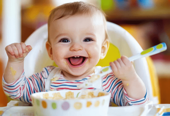 Bébé assis dans une chaise haute mangeant une purée douce à la cuillère pendant la diversification alimentaire